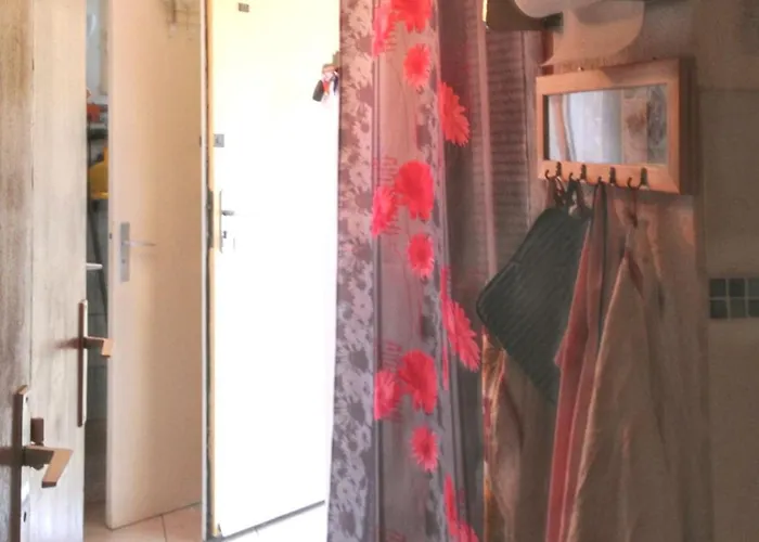 Appartement Avec Piscine Partagee A Agde