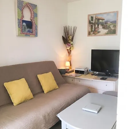 Apartment Avec Piscine Partagee A Agde